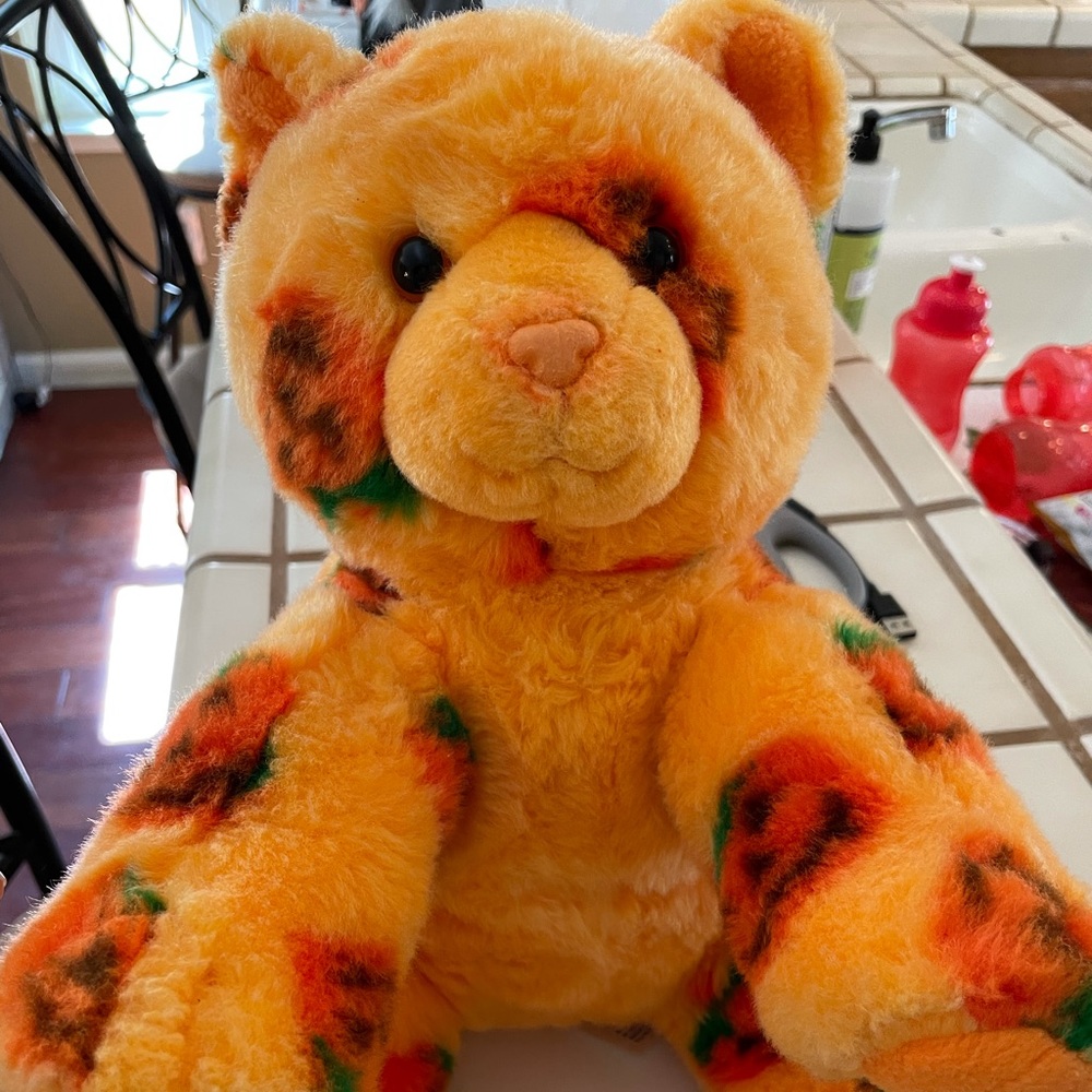 Pumpkin fun build a bear